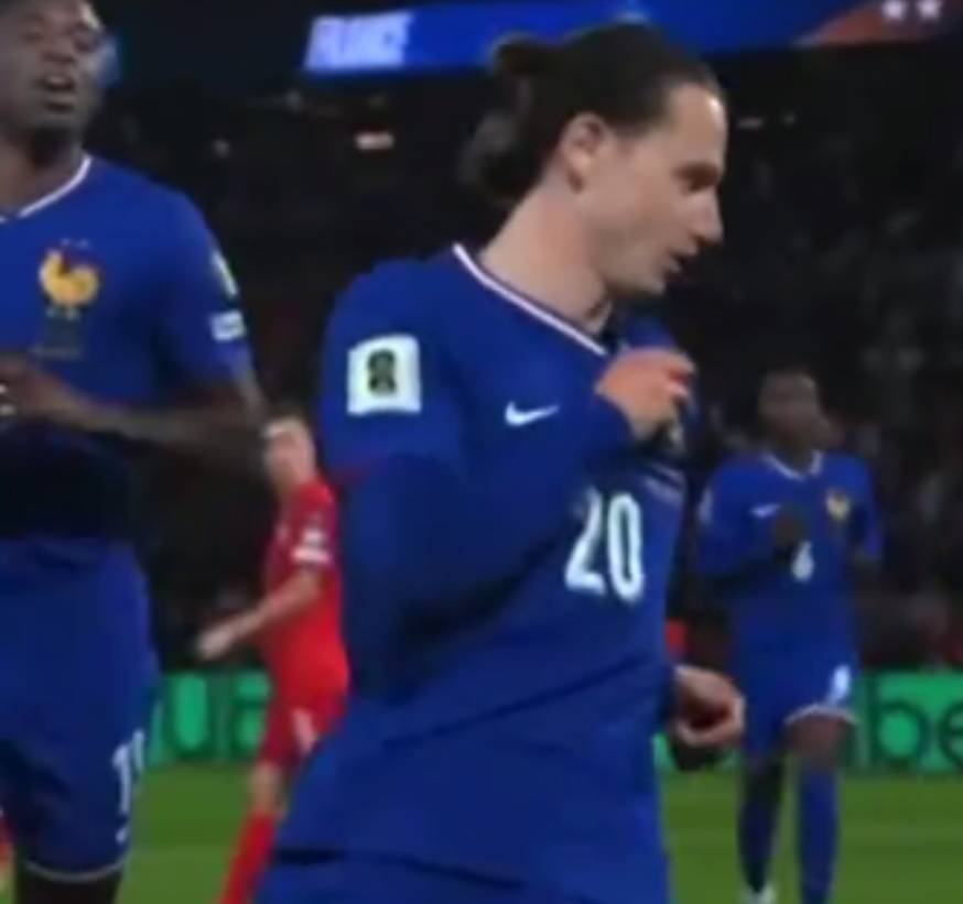 瑞典队横扫法国队，王皓状态火热的简单介绍